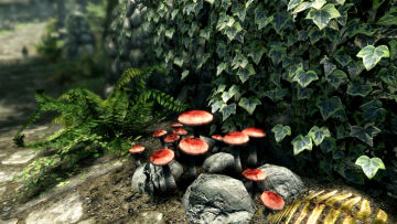 【亲测可玩】解压即玩|v1.7.104.0.8|上古卷轴5：天际周年纪念特别版豪华中文全DLC 图 2