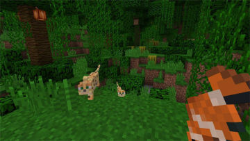（Switch）我的世界 Minecraft 官方中文本体+v1.26.44升补 图 2